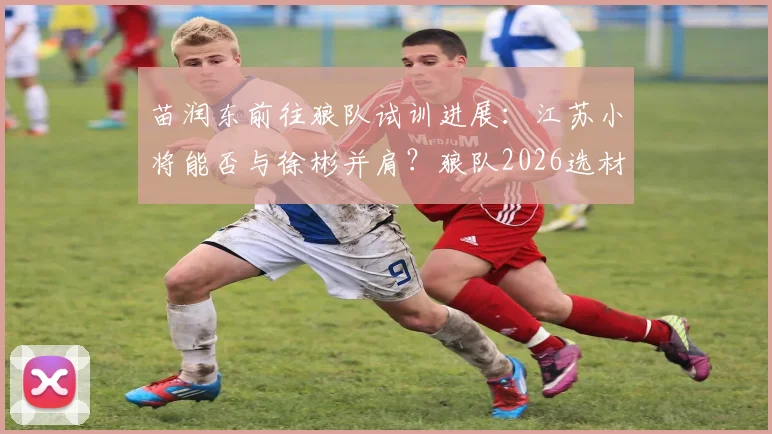 苗润东前往狼队试训进展：江苏小将能否与徐彬并肩？狼队2026选材关注点解析